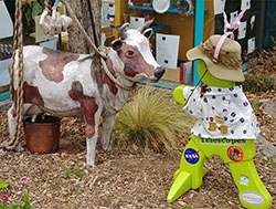 timmy and the cow at Santa Fe Children's Museum